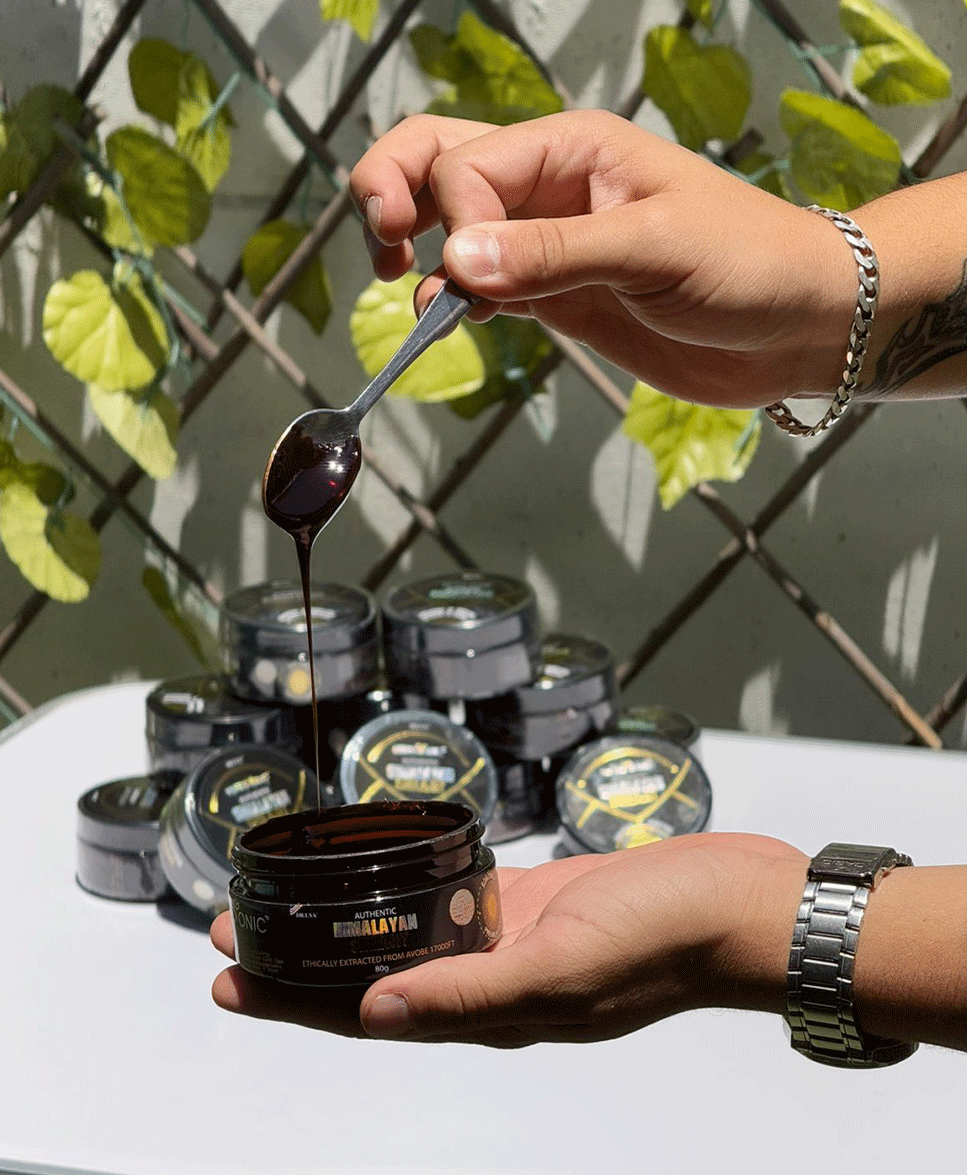 Shilajit™ Gold – Máxima energía del Himalaya