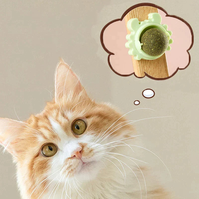 LovelyBall™ - Bola encantadora para gatos